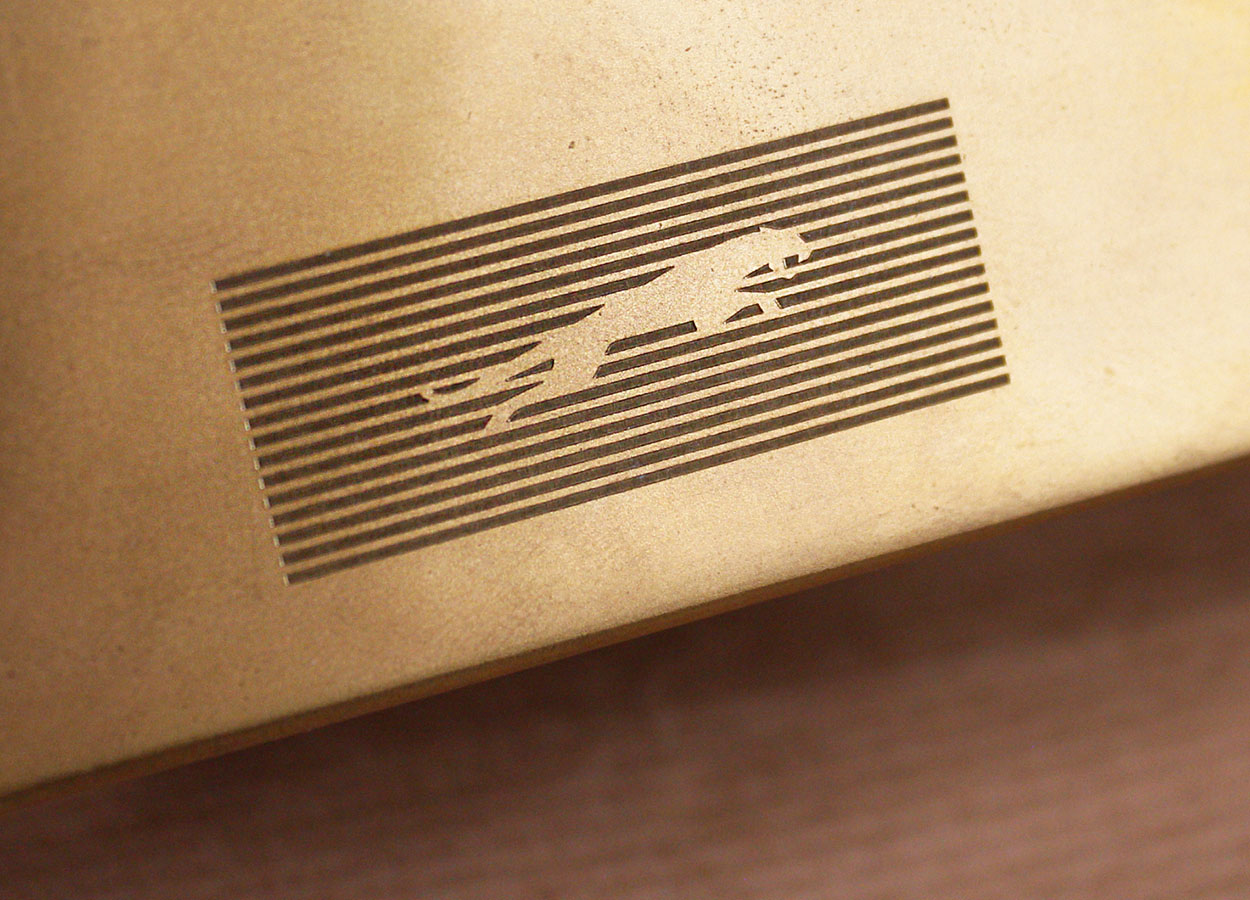 Jaguar 2025 silueta web